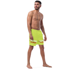 Fighters swim trunks